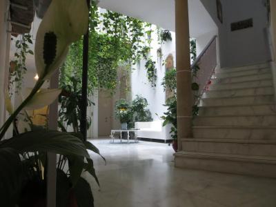 Un Patio al Sur - 4