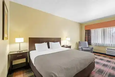 Quality Inn & Suites Airport - 43