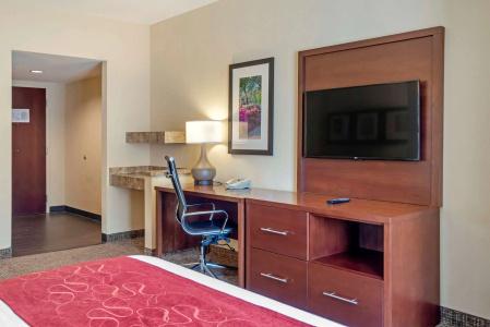 Comfort Suites North - 111