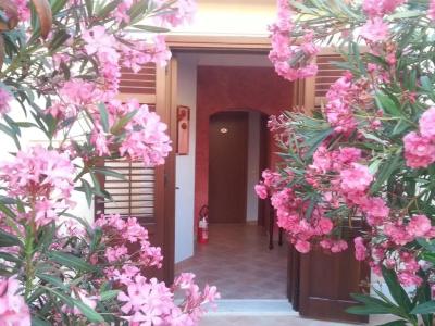 Trigrana Vacanze - 50