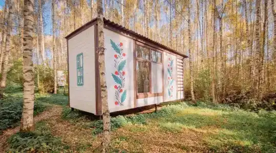 Маленькая Сербия - 0