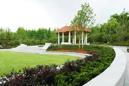 Xijiao State Guest - 8