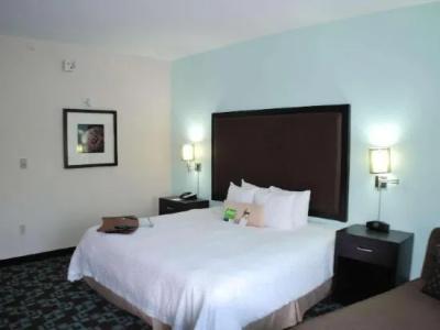 Hampton Inn & Suites Nashville at Opryland - 88