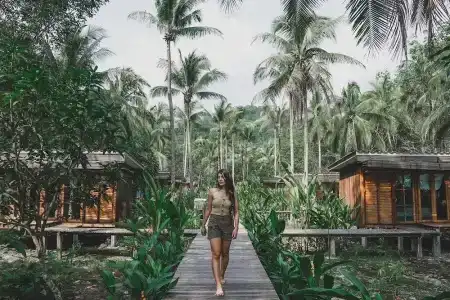 Jungle Koh - 52