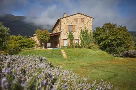 Agriturismo Boschi di Montecalvi - 218
