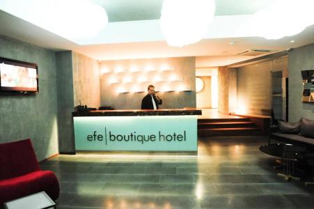 Efe - 1