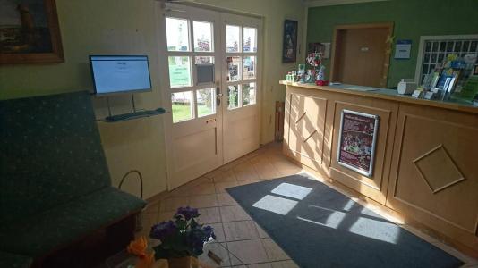 -Pension Am Mühlberg - 1