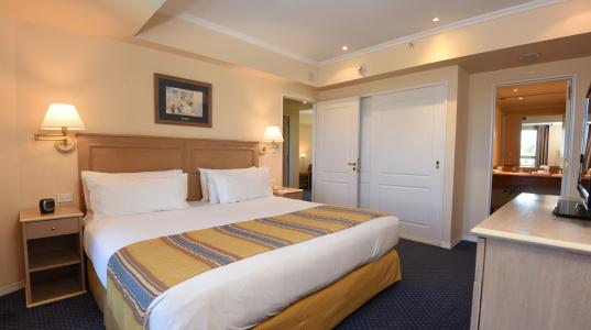 Holiday Inn Cordoba, An Ihg - 44