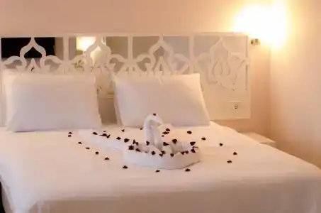 Cimenoglu - 3