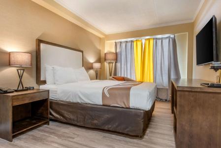 Quality Inn and Suites - 42
