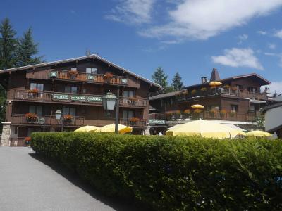 Au Vieux Moulin - 16