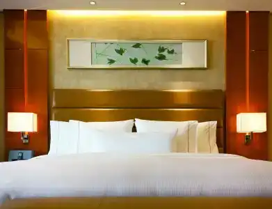 The Westin Nanjing Xuanwu Lake - 19