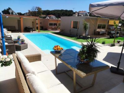 Modular Bungalows Vravrona Artemis Greece - 17