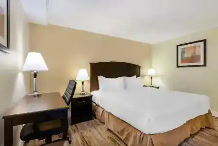 Best Western Plus - 68