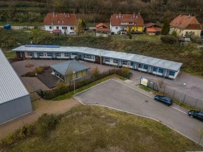 Sport Arena - 17