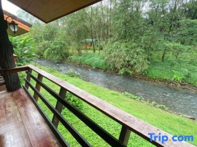 Khaosok Rainforest Resort - 82
