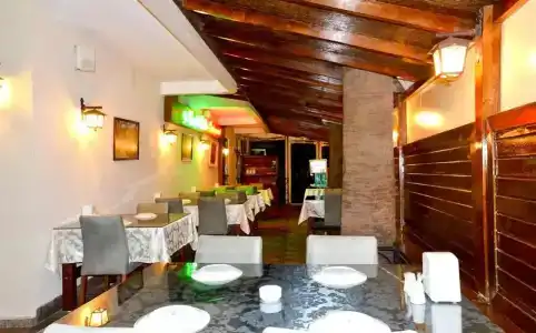 Green Palm - 14