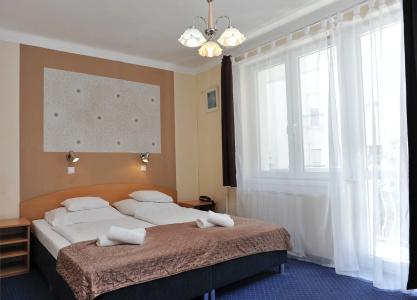 Papillon - 4