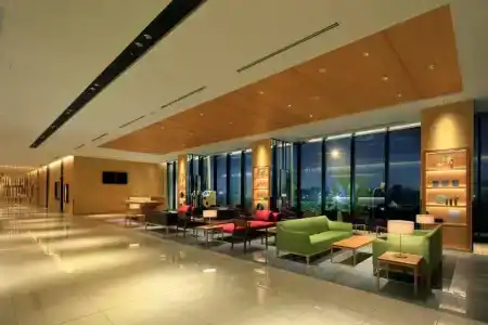 The Singulari & Skyspa At Universal Studios Japan - 15