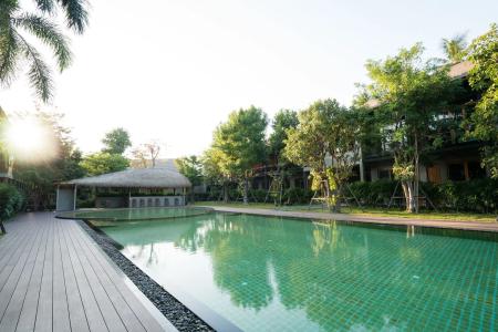 The Buffalo Amphawa - 10