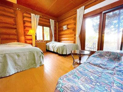 Hakuba Meteor Lodge - 125