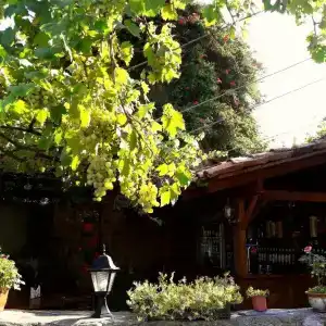 Guest House Kusika - 4