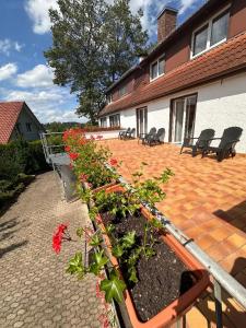 Waldblick - 116