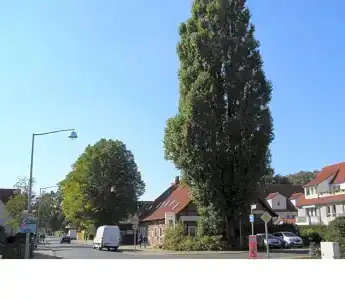 Alt Vinnhorst - 13
