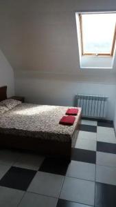 Hostel Vitan - 66