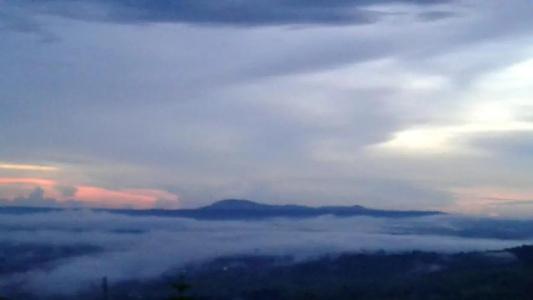 Khao Kho Tree Top - 53