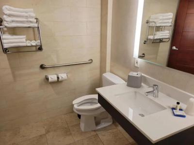 Holiday Inn Express Maspeth, An Ihg - 54