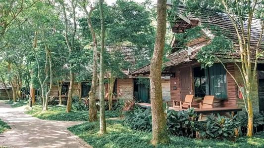 Sunset Park Resort And Spa - Sha Plus - 113