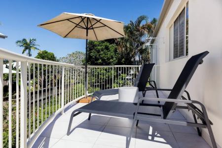 Noosa River Palms - 162