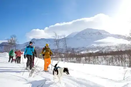 Lapphaugen Turiststasjon - 11