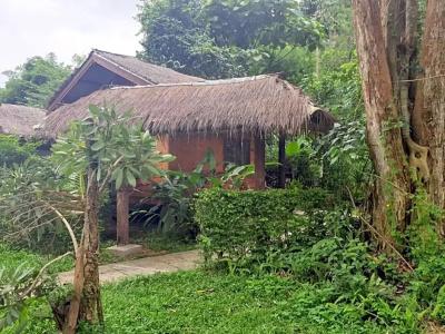 Chiang Dao Hut - 122