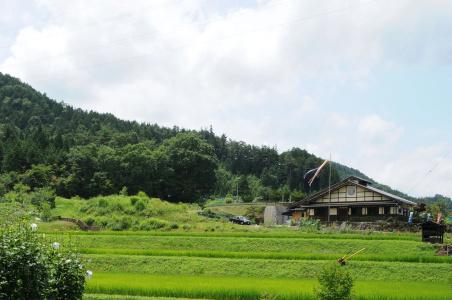 Sakura Guest House - 15