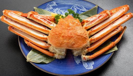 Wakkanai Grand - 28
