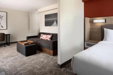 SpringHill Suites by Marriott Dallas Downtown / West End - 18