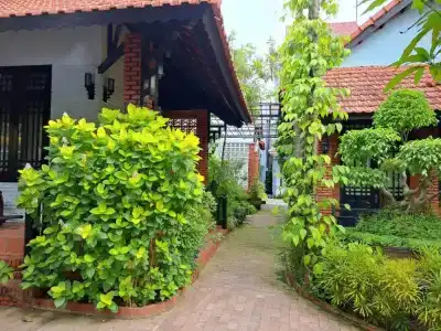 Betel Garden - 120
