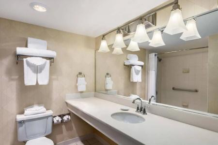 Wyndham Garden Dallas North - 13