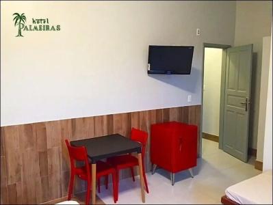 Palmeiras Ltda - 17