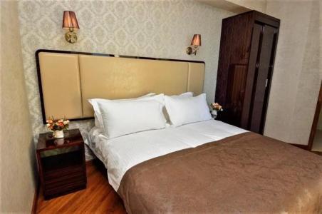 King David Bakuriani - 60