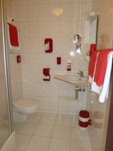 Jfm löRrach Bei Basel - 9