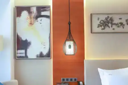 Holiday Inn Nanjing Xuanwu Lake, An Ihg - 73