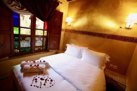 Riad Toyour- Riad of birds - 116
