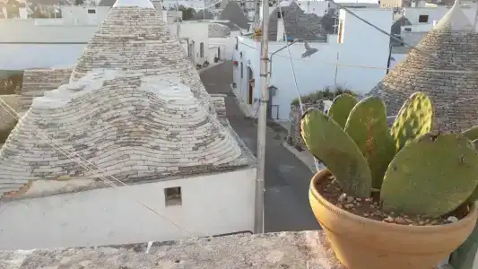 Trullieu Guesthouse Alberobello - 42