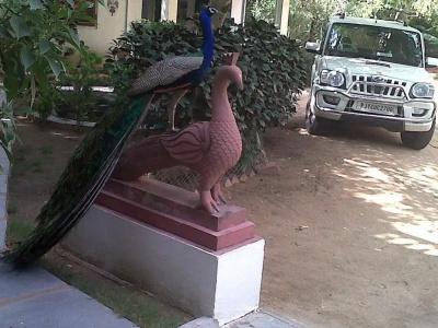 Shahar Palace - 19