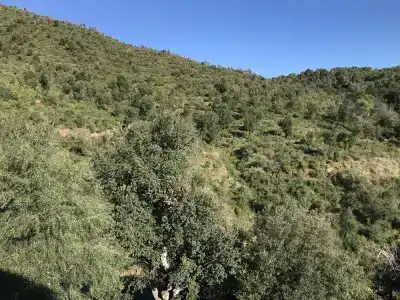 Finca Bell-Lloc - 24