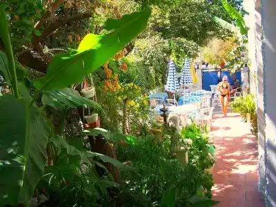 Villa Fortin Pension - 8