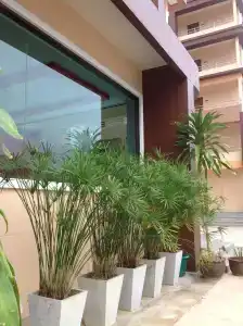 Perfect Place - 14